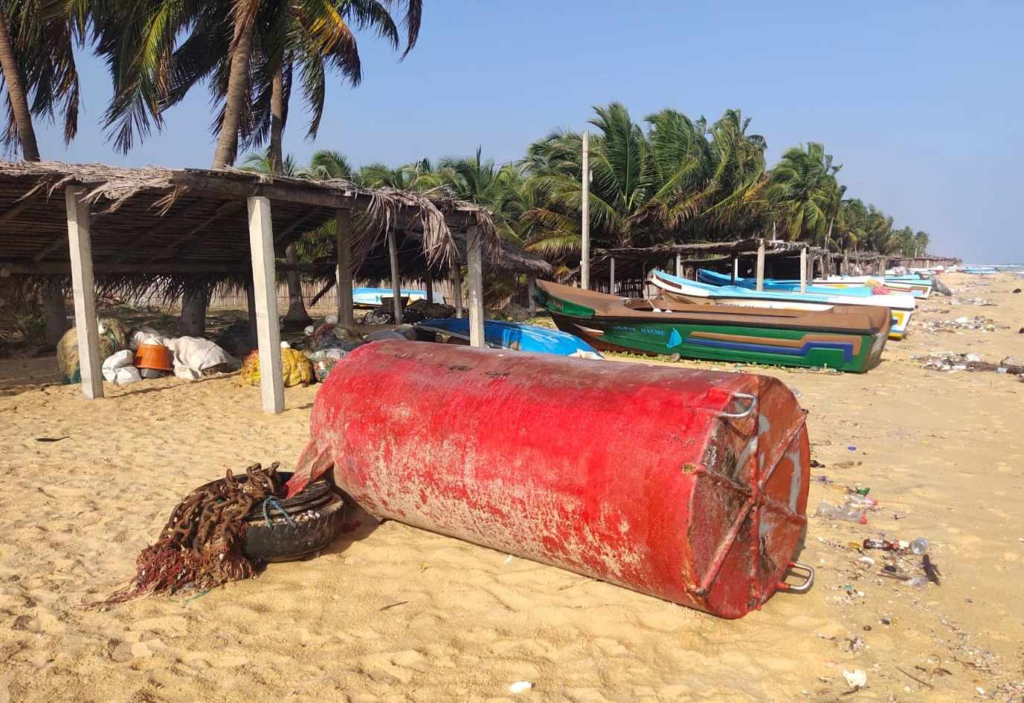 image 6 Iri News